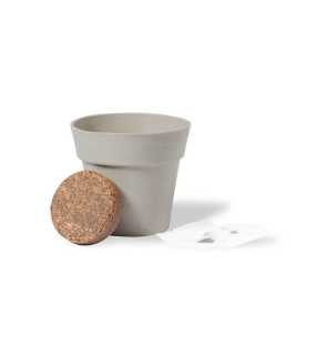 Kvetináč so slnečnicou > viacfarebná