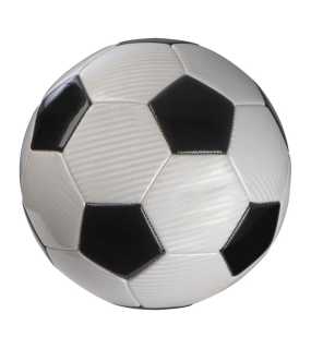 Futbalová lopta Champion > biela