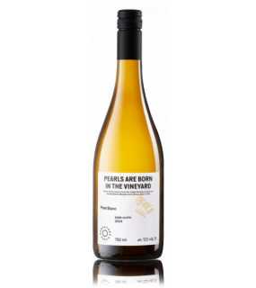 Karpatská perla-Víno /PINOT BLANC/ MVO, biele suché, 22°NM, 2024, (0,75l)