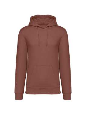 Unisex mikina (Native Spirit SURFER) > hnedá (sienna) > L