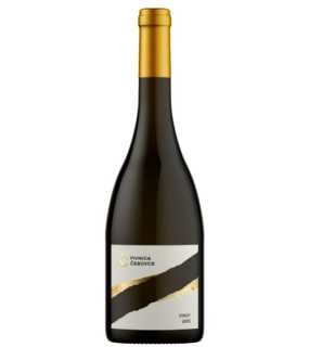 Pivnica Čebovce-Víno /Pinot Gris/biele suché, výber z hrozna, 2024,(0,75l)
