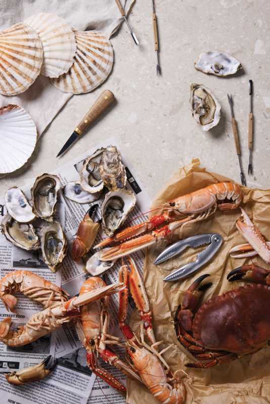 VINGA Story of seafood > šedá