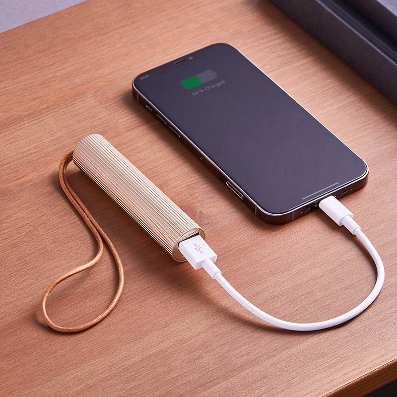 Powerbank-nabíjačka 3 000 mAh (LEXON) > zlatá (light)