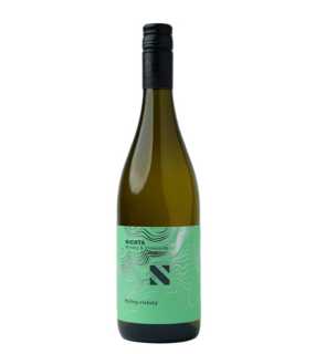 Nichta-Víno /Rizling vlašský /Čajkov, Kruhy, biele suché, 2024,(0,75l)