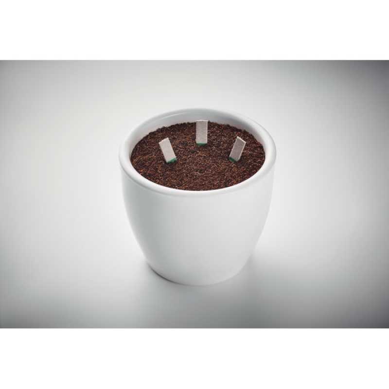 Tyčinky so semienkami byliniek > béžová