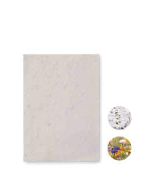 List A6 so semienkami kvetov > biela