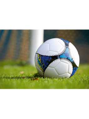 Futbalová lopta > biela