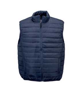 Pánska vesta > modrá > L