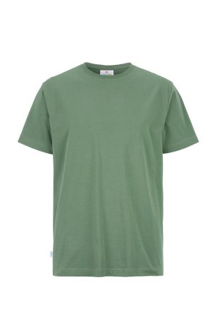 Pánske tričko (COTTOVER T-SHIRT) > zelená (dusty) > 4XL