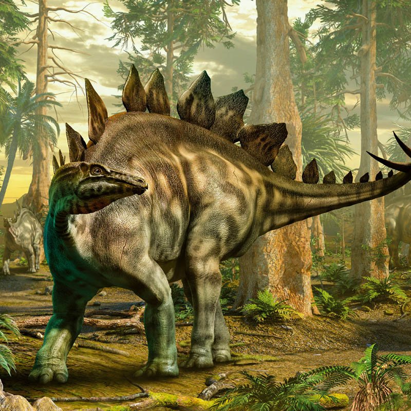 Nástenný kalendár (Dinosaury 2026) - 30 x 30 x 1 cm