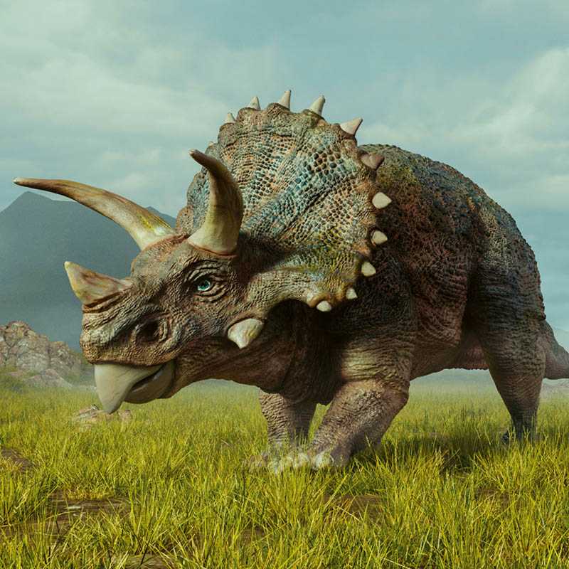 Nástenný kalendár (Dinosaury 2026) - 30 x 30 x 1 cm
