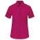 ružová (fuchsia)