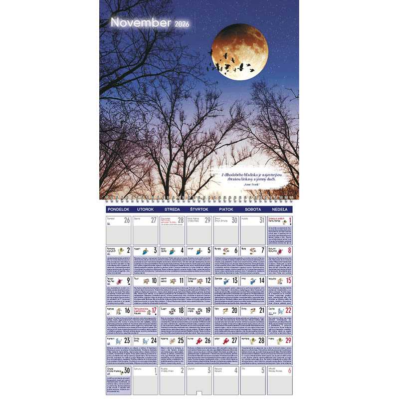 Nástenný kalendár (Lunárny kalendár 2026) - 30 x 30 cm