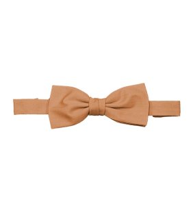 Motýlik (VELILLA BOW TIE) > oranžová (light)