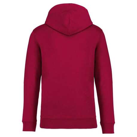 Unisex mikina (Native Spirit SURFER) > červená (hibiscus) > 2XL