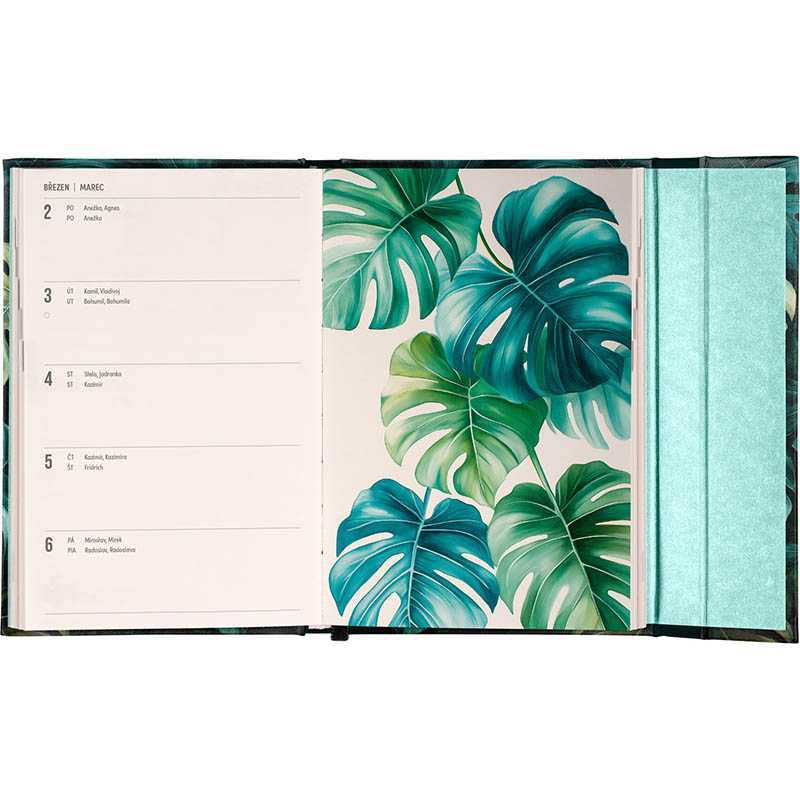 Diár (Magnetický diár 2026) - 11 x 16 cm  > monstera > týždenný B6