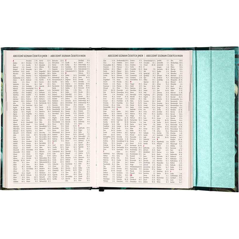 Diár (Magnetický diár 2026) - 11 x 16 cm  > monstera > týždenný B6