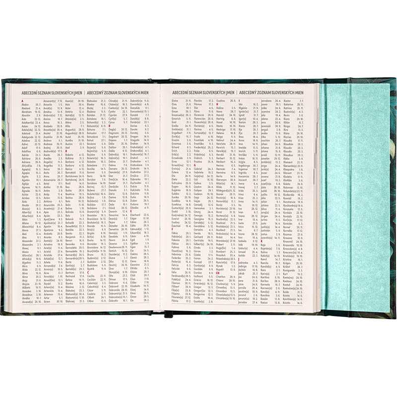 Diár (Magnetický diár 2026) - 11 x 16 cm  > monstera > týždenný B6