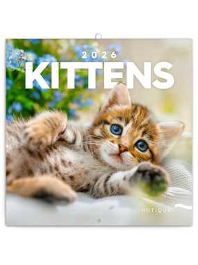 Nástenný kalendár (Mačiatka 2026) - 30 x 30 x 1 cm