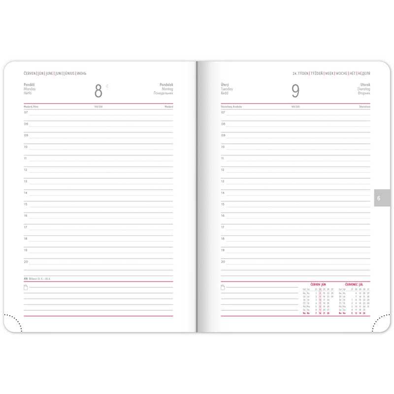 Diár (Ajax 2026) - 15 x 21 x 3 cm  > zlatá > denný A5