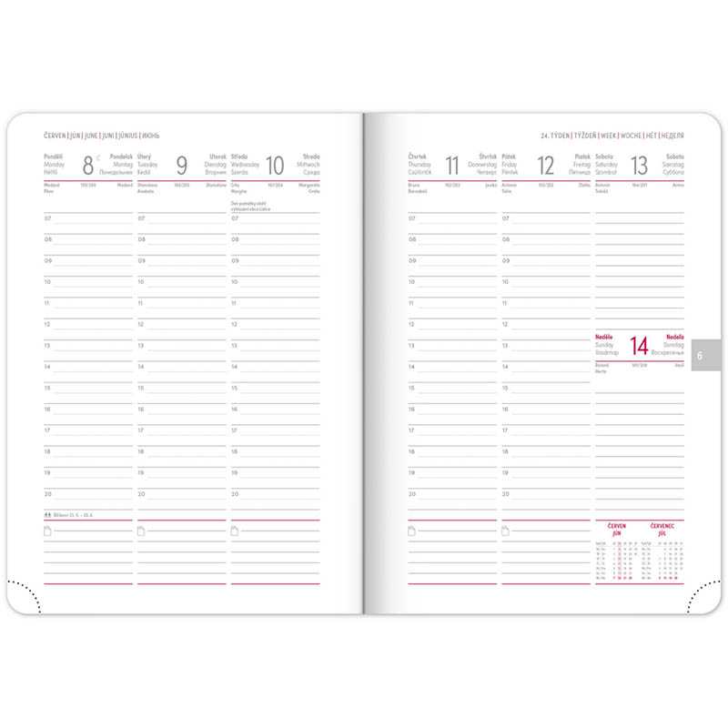 Diár (Ajax 2026) - 15 x 21 x 2 cm > zelená > týždenný A5