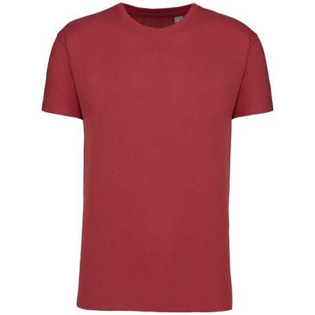 Pánske tričko (BIO150IC MEN'S ROUND NECK T-SHIRT) > červená (terracotta) > 2XL