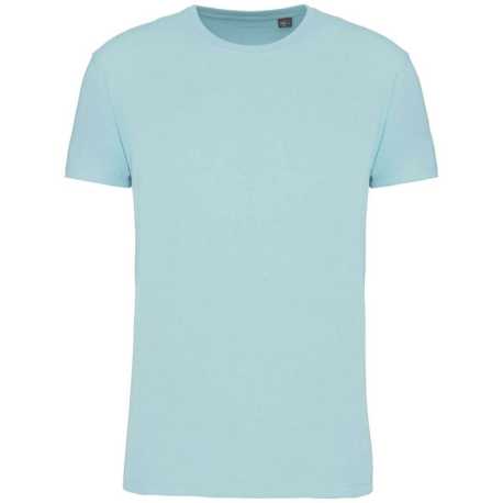 Pánske tričko (BIO150IC MEN'S ROUND NECK T-SHIRT) > zelená (ice mint) > 2XL
