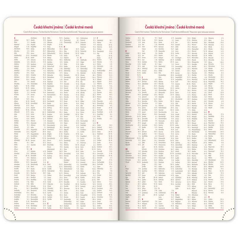 Diár (Rivoli 2026) - 9 x 15,5 x 1 cm  > sivá > vreckový týždenný