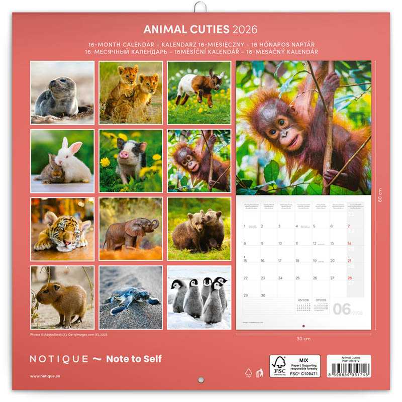 Nástenný kalendár (Mláďatá 2026) - 30 x 30 x 1 cm