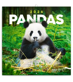Nástenný kalendár (Pandy 2026) - 30 x 30 x 1 cm