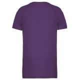 Pánske tričko (PROACT MENS SHORT SLEEVE T-SHIRT) > fialová > 2XL
