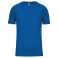 modrá (sporty royal)