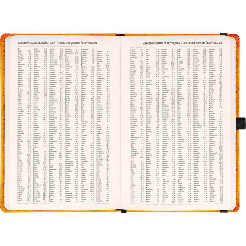 Diár (Planbook diár/notes 2026) - 13 x 21 cm  > Harry Potter  > dvojtýždenný A5