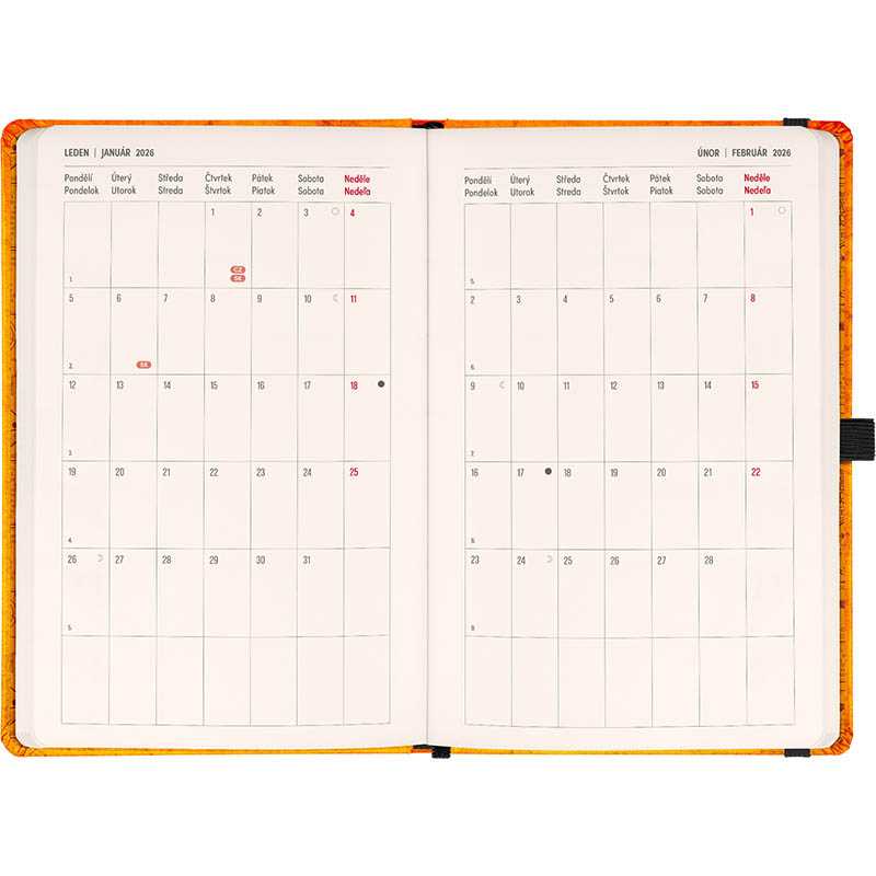 Diár (Planbook diár/notes 2026) - 13 x 21 cm  > Harry Potter  > dvojtýždenný A5