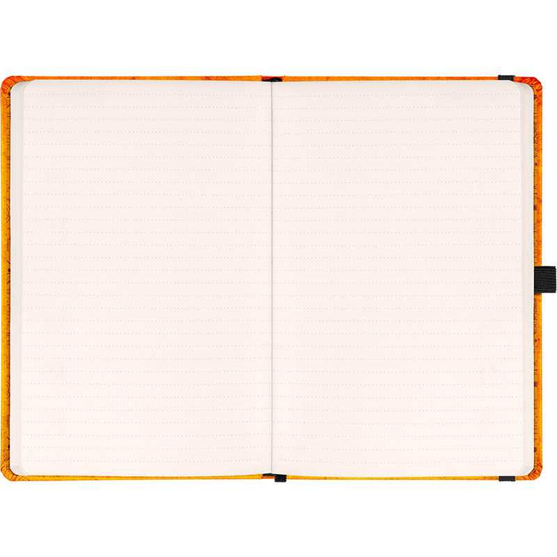 Diár (Planbook diár/notes 2026) - 13 x 21 cm  > Harry Potter  > dvojtýždenný A5