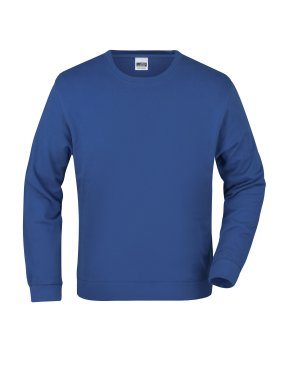 Pánska mikina (JN Basic Sweat) > modrá (royal) > L