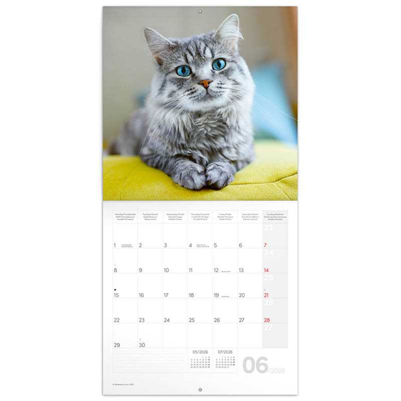 Nástenný kalendár (Mačky 2026) - 30 x 30 x 1 cm