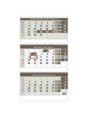 Nástenný kalendár (Trojmesačný kalendár so špirálou 2026) - 31,5 x 59 cm > šedá