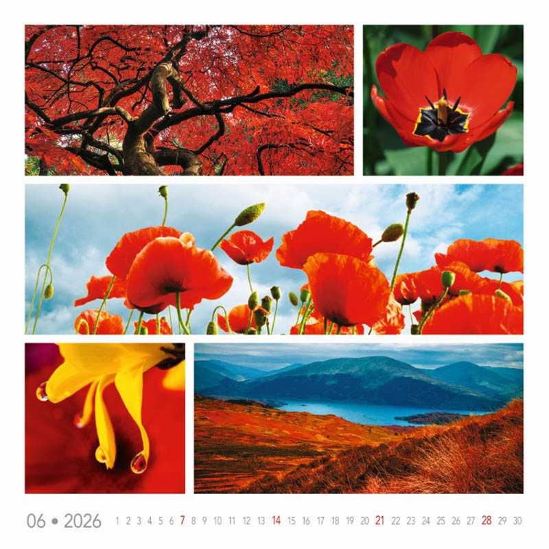 Nástenný kalendár (Colours of nature 2026) - 33 x 33 cm