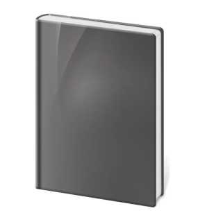 Zápisník (Vario 2026) - 21 x 29,7 cm > Grey design > linajkový XL