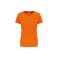 oranžová (fluorescentorange)
