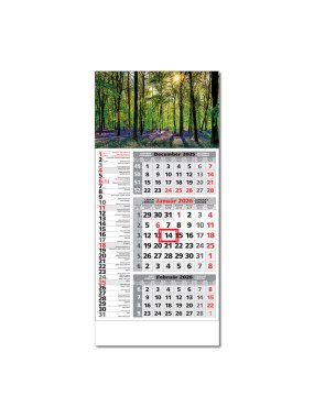 Nástenný kalendár (ŠTANDARD 3M 2026) - 29,5 x 66,3 cm > sivá > Obr. E