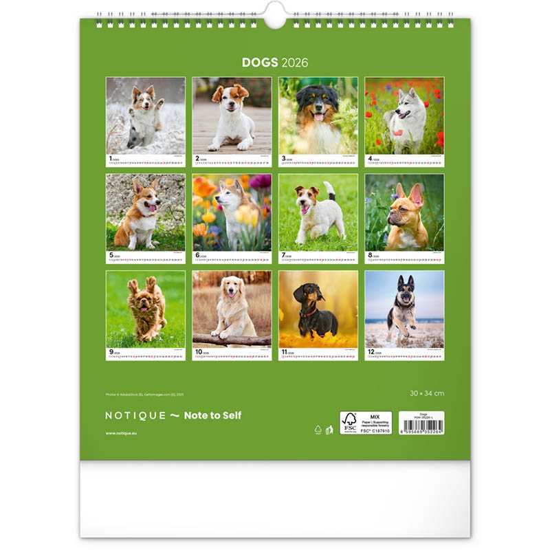 Nástenný kalendár (Psy 2026) - 30 x 34 x 1 cm