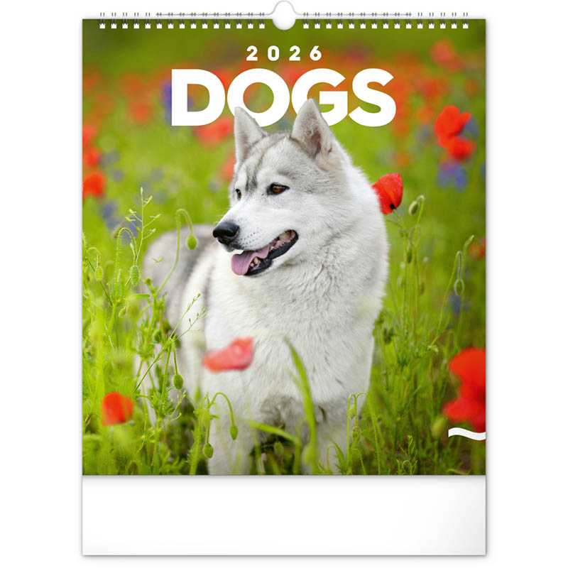 Nástenný kalendár (Psy 2026) - 30 x 34 x 1 cm
