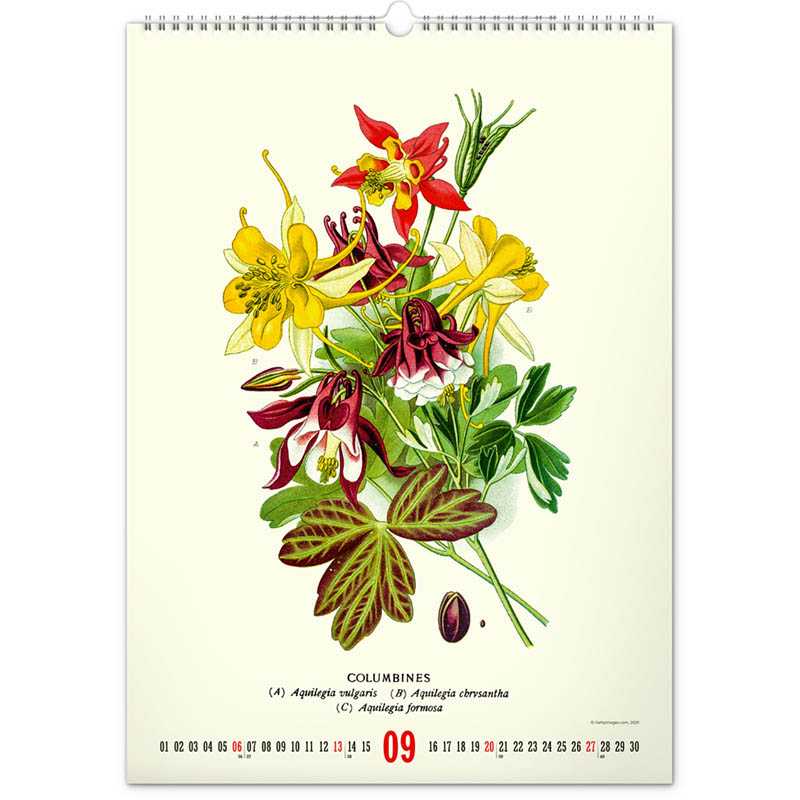 Nástenný kalendár (Vintage plagáty – herbár 2026) - 33 x 46 x 1 cm