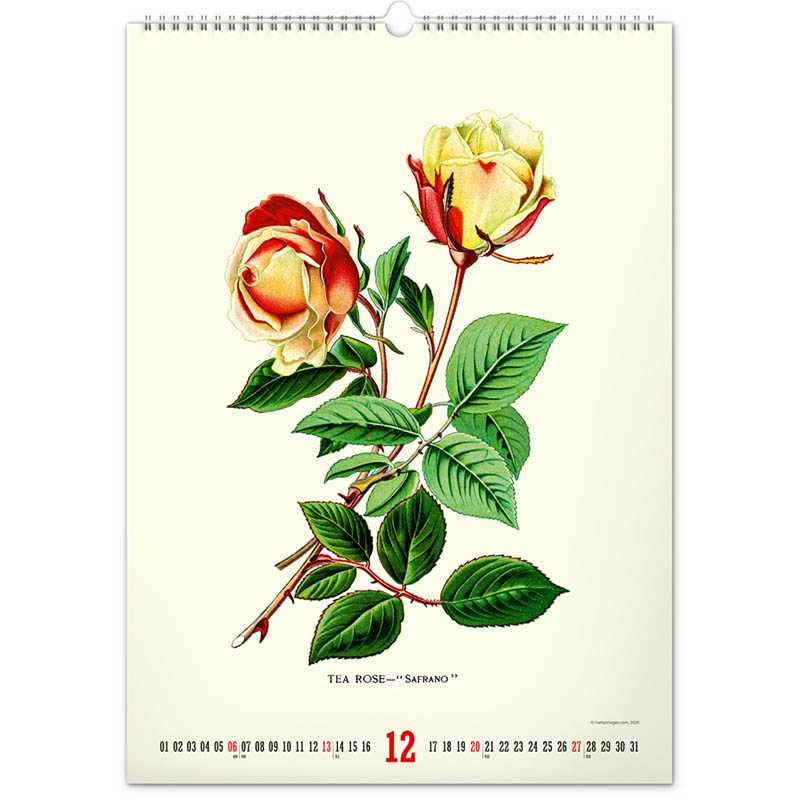 Nástenný kalendár (Vintage plagáty – herbár 2026) - 33 x 46 x 1 cm