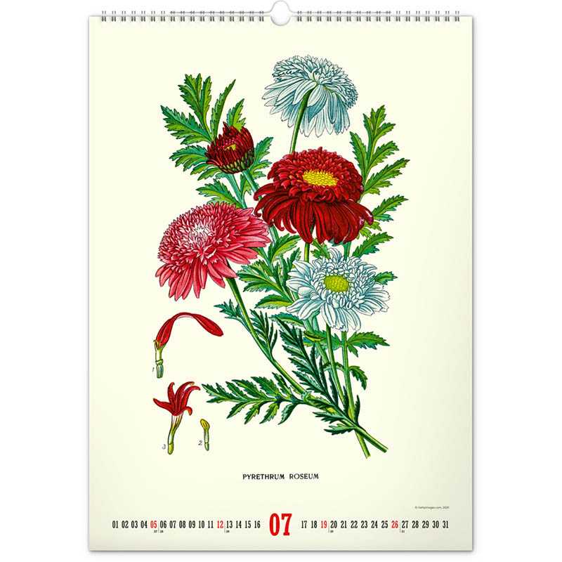 Nástenný kalendár (Vintage plagáty – herbár 2026) - 33 x 46 x 1 cm