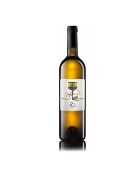 Karpatská perla-Víno/Veltlínske zelené,Vertikála/Noviny,biele,21°NM,spojenie 18-22,(0,75l)