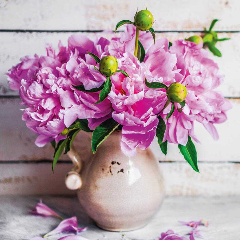 Nástenný kalendár (Kvety 2026) - 30 x 30 x 1 cm