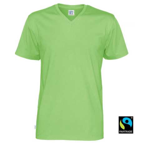 Pánske tričko (COTTOVER T-SHIRT V-NECK) > zelená > XXL